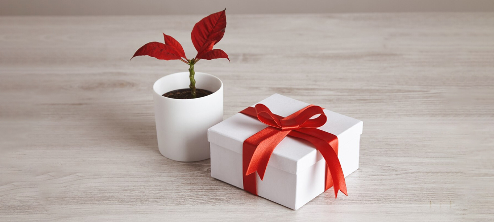 The Role of Occasion in Corporate Gifting