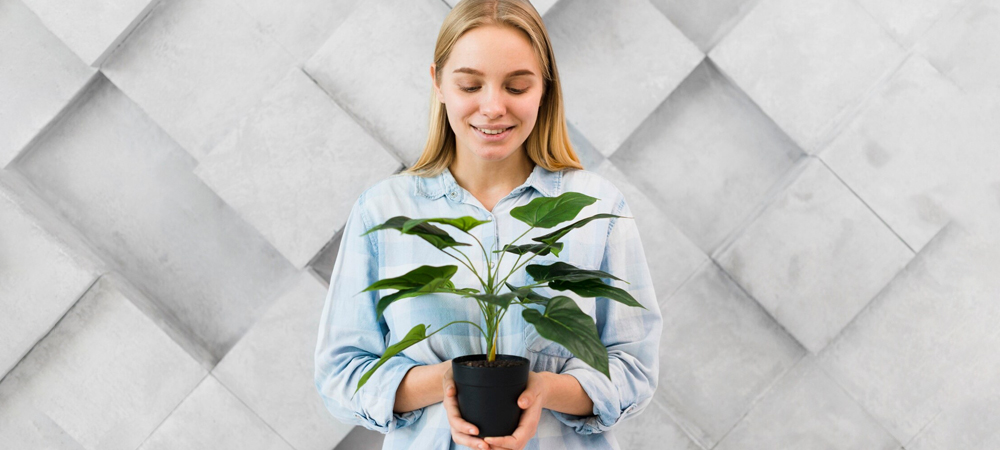 Plants and Greenery